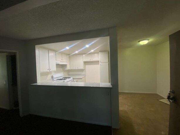 spacious-2-bedroom-2-bathroom-big-5