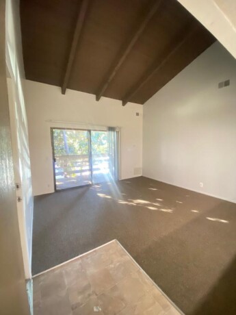 spacious-2-bedroom-2-bathroom-big-3