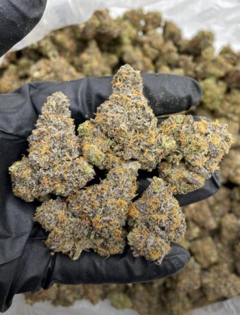 buy-top-quality-420-delivery-big-1
