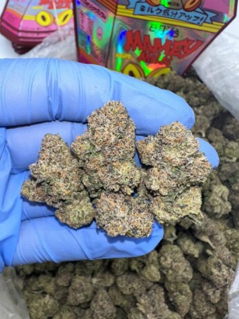 buy-top-quality-420-delivery-big-0