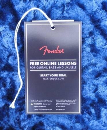 fender-stratocaster-case-black-wbig-amp-logo-blue-int-new-big-0