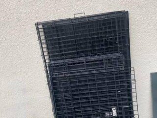 dog-crates