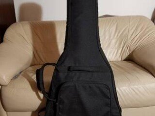 dangelico-premier-electric-12-string-guitarnew-in-excellent-cod